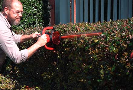DR Hedge Trimmer